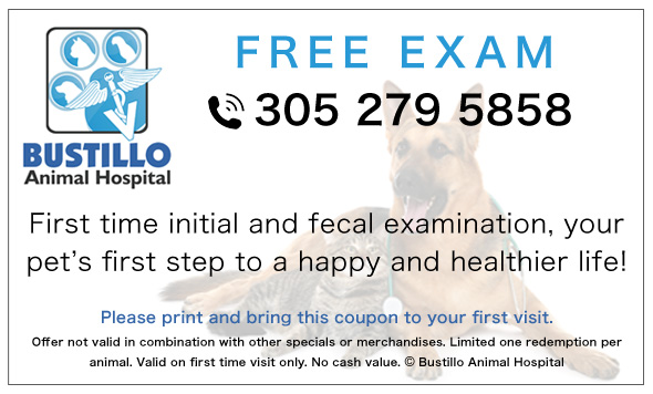 Bustillo Animal Hospital Miami Free Examen Coupon
