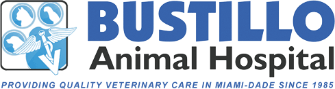 Bustillo Animal Hospital Miami