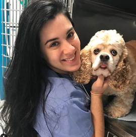 Anaily Gonzalez at Bustillo Animal Hospital in Miami